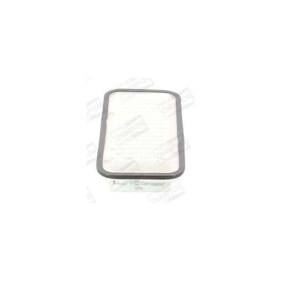 Champion Caf100809P Air Filter