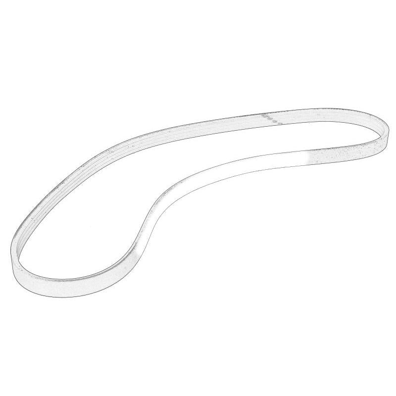 OE IVECO 504129824 V-Ribbed Belt