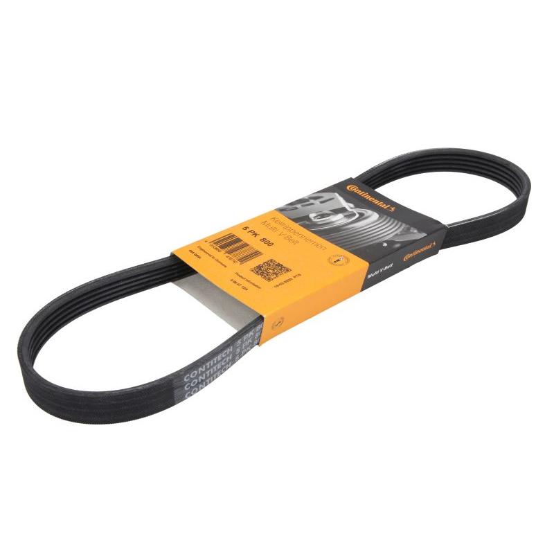 CONTITECH 5PK800 V-Ribbed Belt