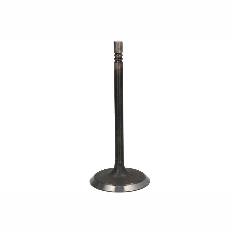 DNJ IV1100 Intake Valve