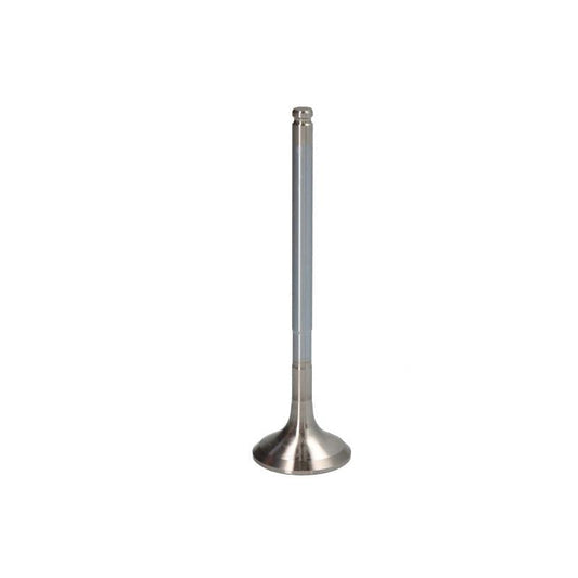 NE 148037002100 Exhaust Valve
