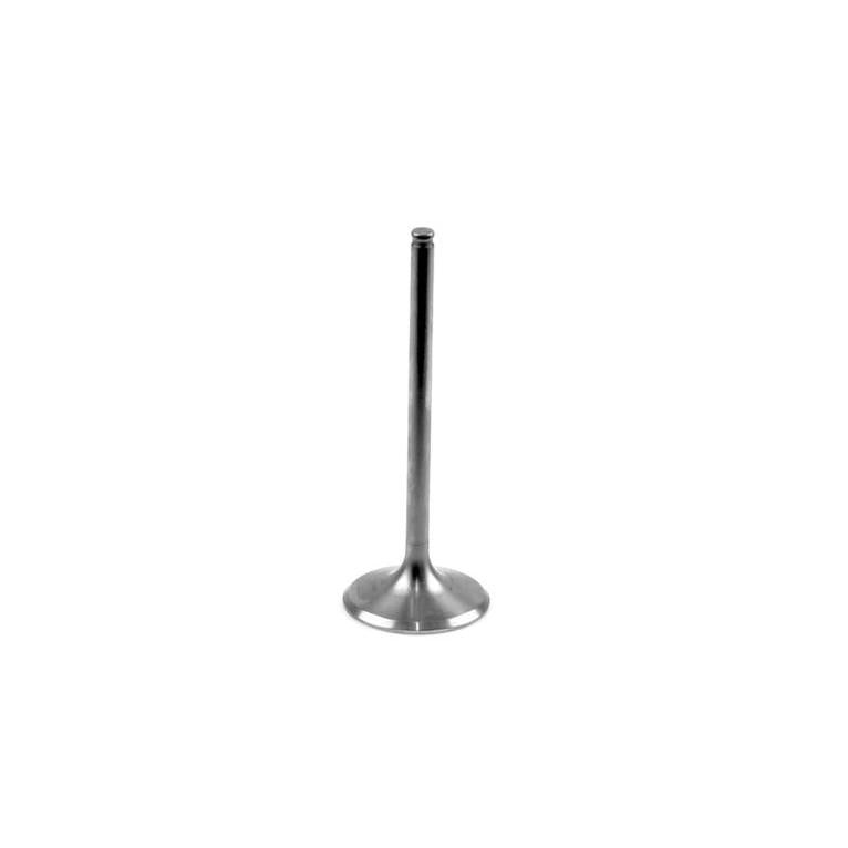 ATHENA VI-485206T Intake Valve