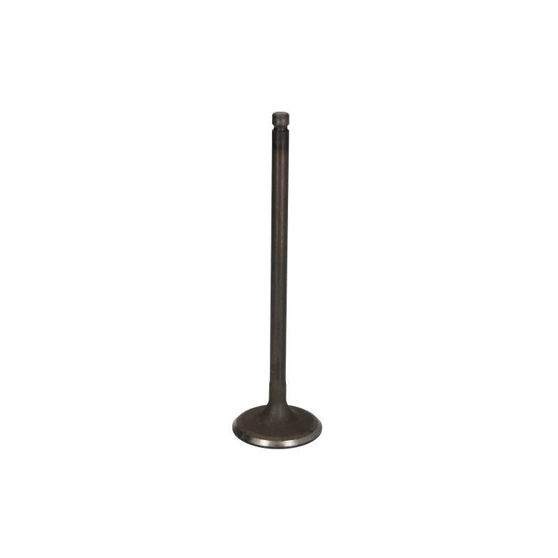 FRECCIA 6443/SNT Intake Valve