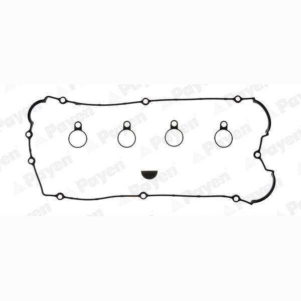 PAYEN HM5272 Cylinder Head Cover Gasket Set