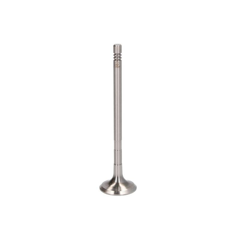 PARADOWSCY PMER123 Exhaust Valve