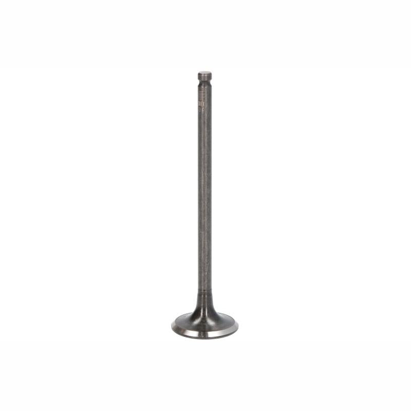 NE 148037003000 Exhaust Valve