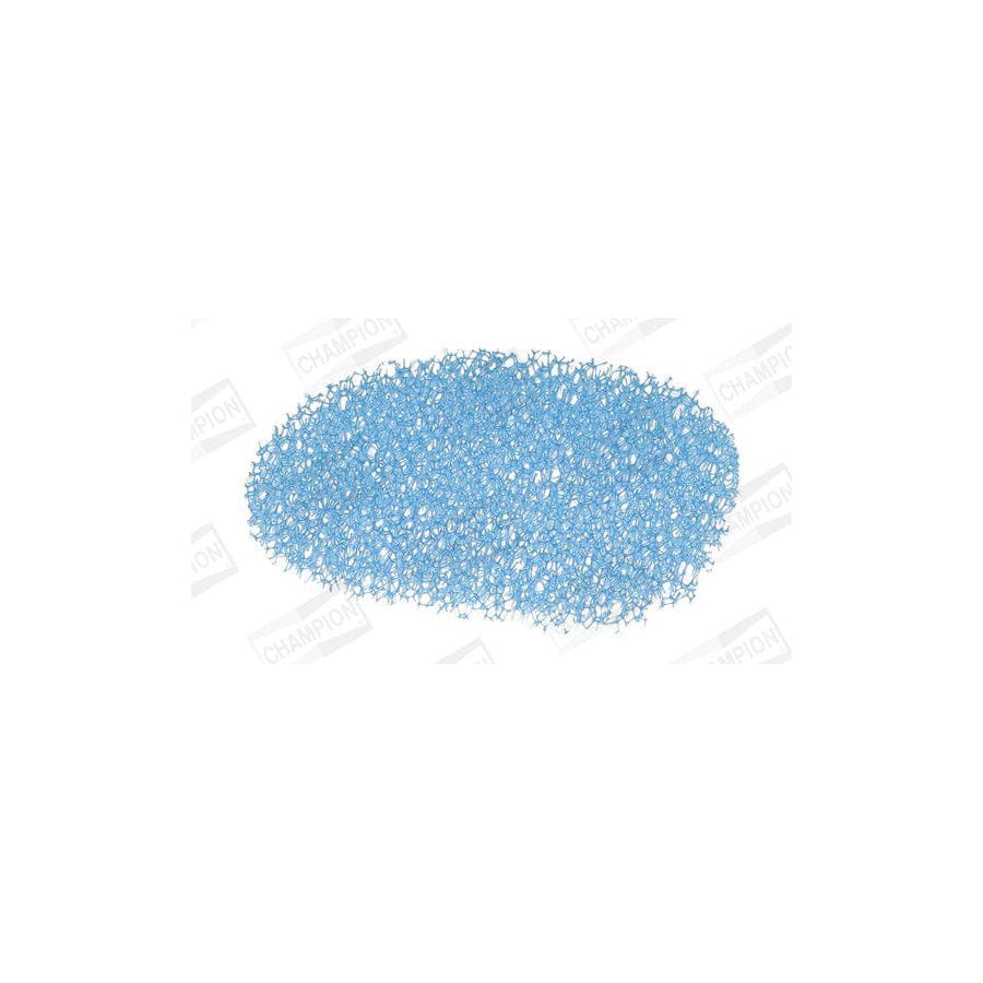 Champion Ccf0478 Pollen Filter