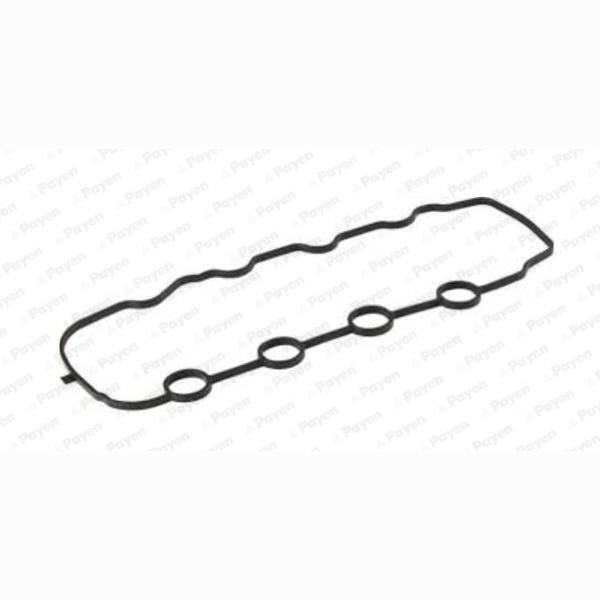PAYEN HM5275 Cylinder Head Cover Gasket Set