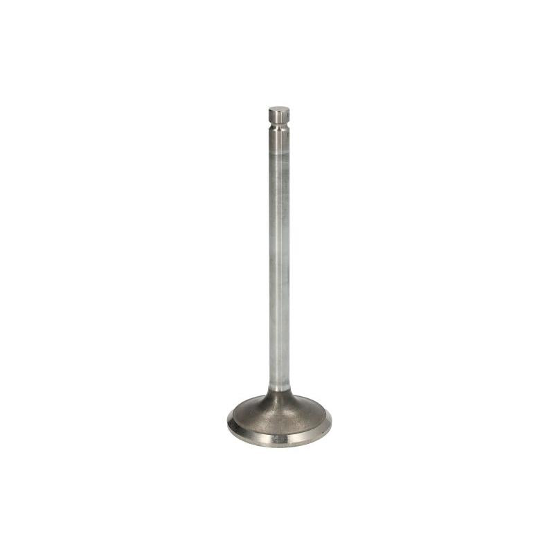 FPT 4895188-FPT Exhaust Valve