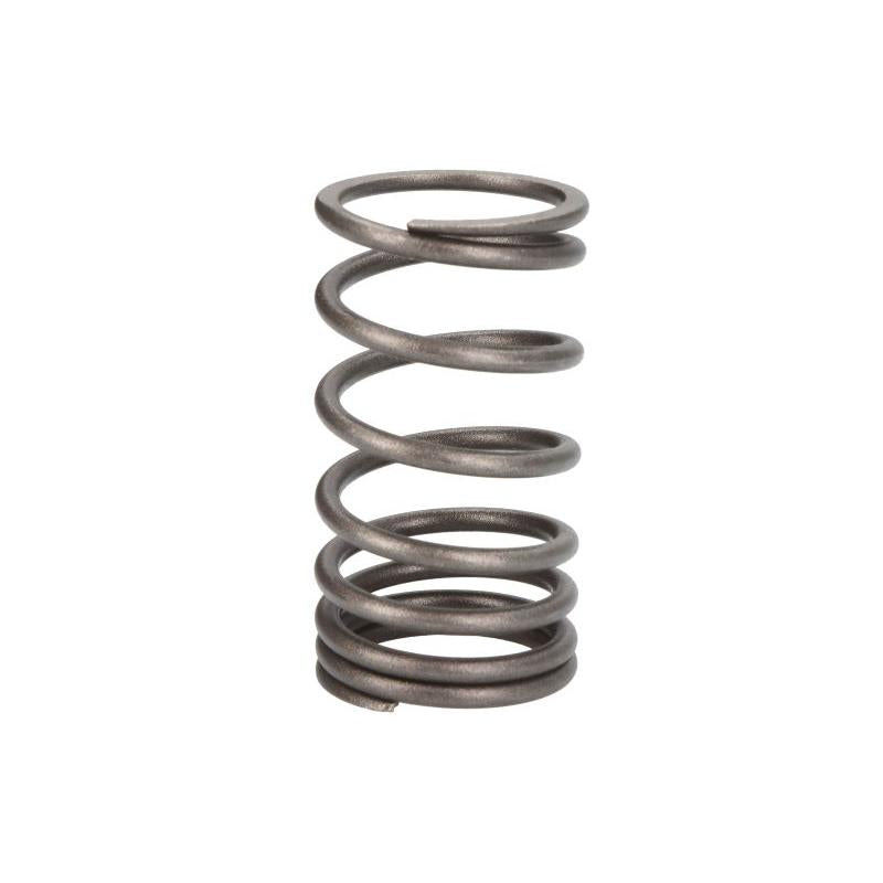 VAPORMATIC VPA2004 Valve Spring