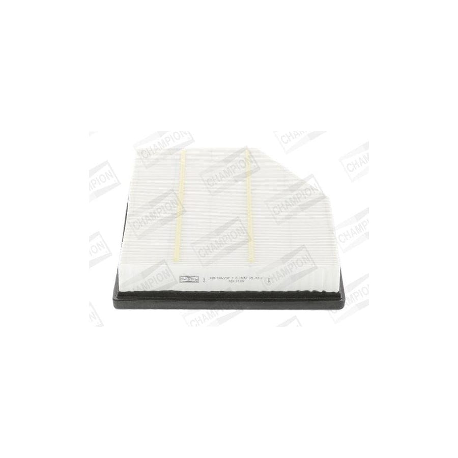 Champion Caf100773P Air Filter
