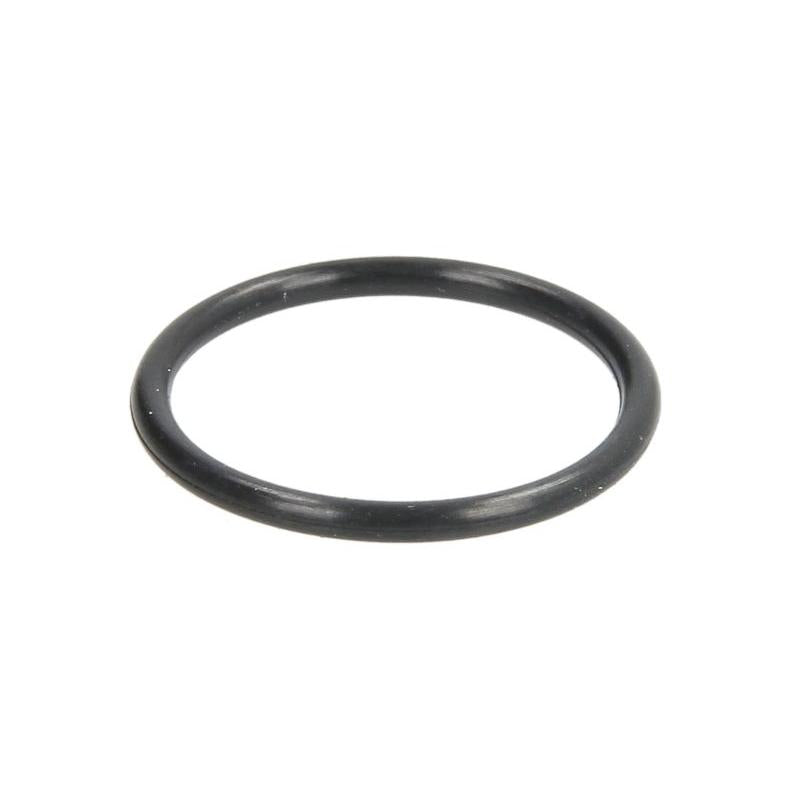 HANS PRIES 114-579 Nozzle Holder Seal Ring