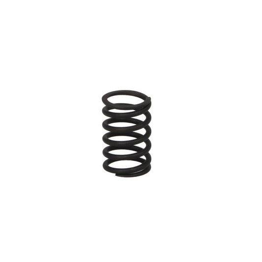 PARSUN F15-07040005 Valve Spring