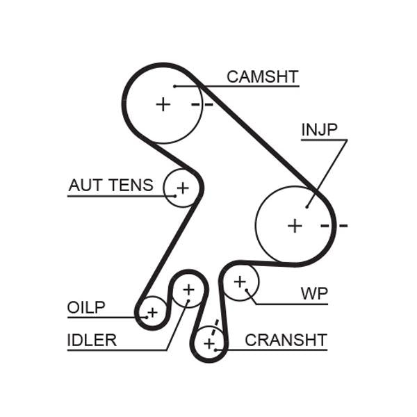 GATES GAT5562XS Timing Belt