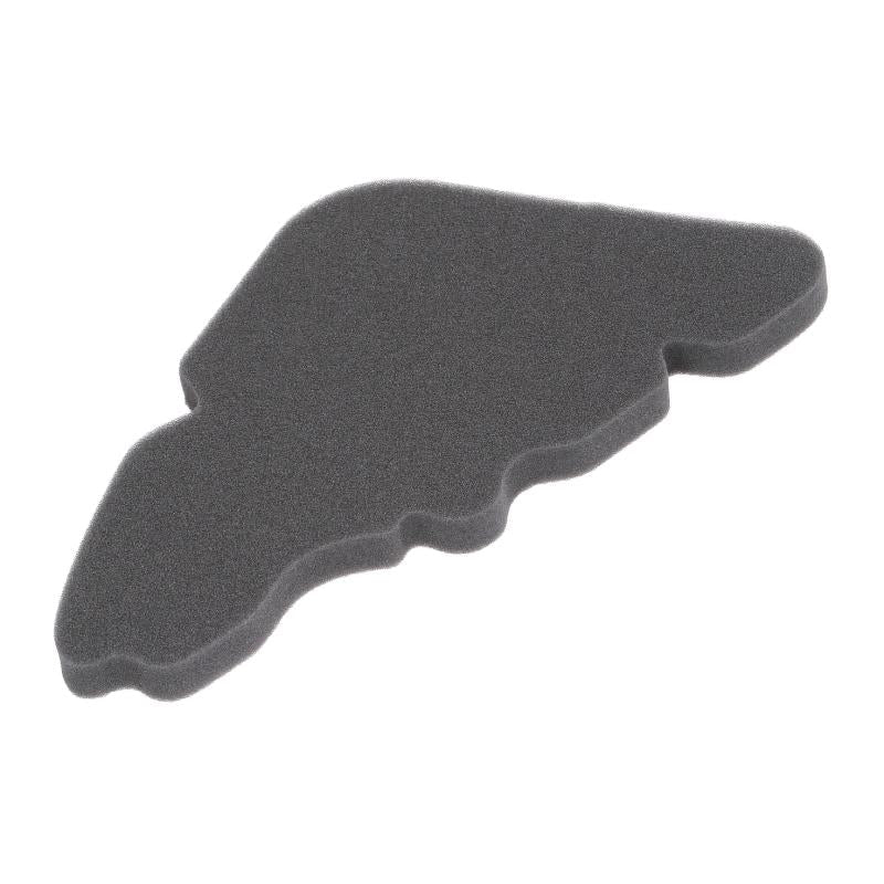 RMS 100600911 Air Filter