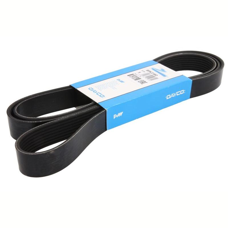 DAYCO DAY8PK2190 V-Ribbed Belt