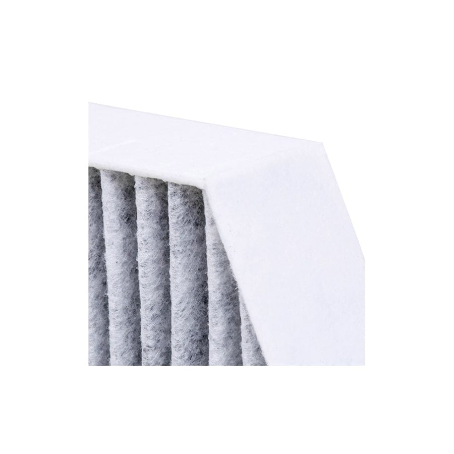 Champion Ccf0303C Pollen Filter