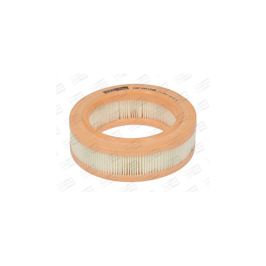 Champion Caf100124R Air Filter