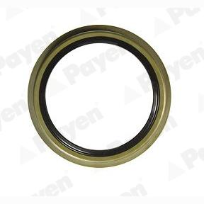 PAYEN NK034 Wheel Hub Shaft Seal