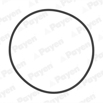 PAYEN HL5383 Cylinder Liner Gasket Set
