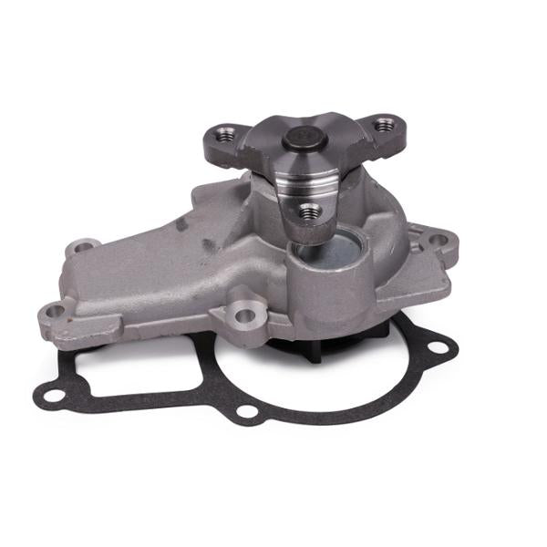 HEPU P2635 Water Pump