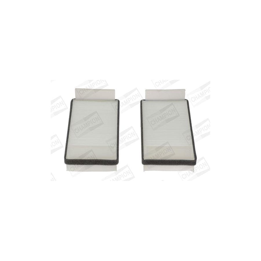 Champion Ccf0402 Pollen Filter