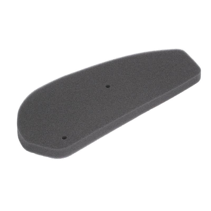 RMS 100600211 Air Filter