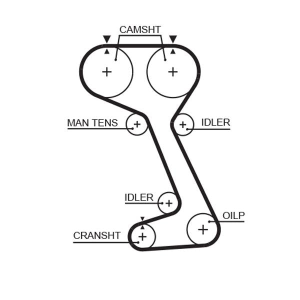 GATES GAT5242XS Timing Belt