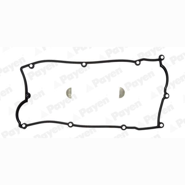 PAYEN HM5261 Cylinder Head Cover Gasket Set