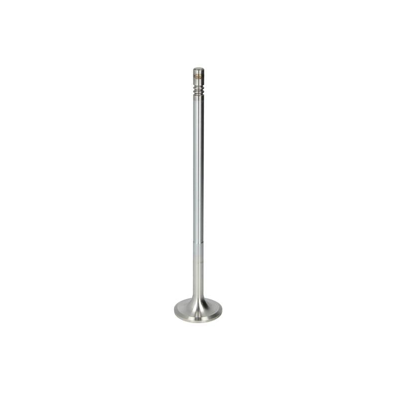 DT SPARE PARTS 2.10576 Intake Valve