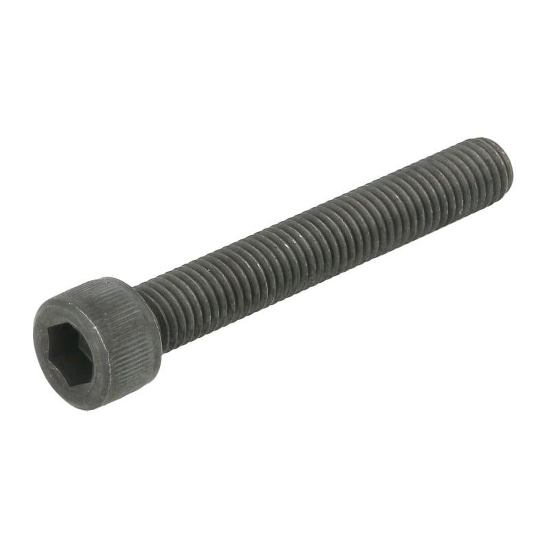 AUGER G101624 Fuel Tank Strap Screw
