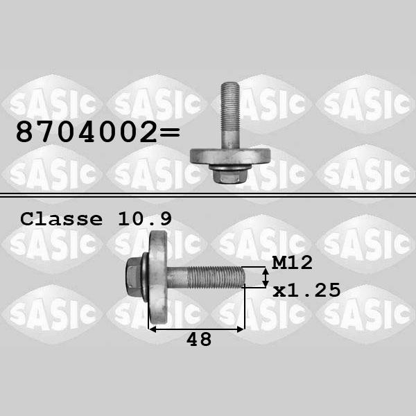 SASIC SAS8704002 Pulley Bolt