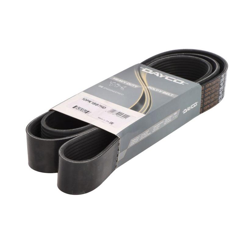 DAYCO DAY10PK1887HD V-Ribbed Belt