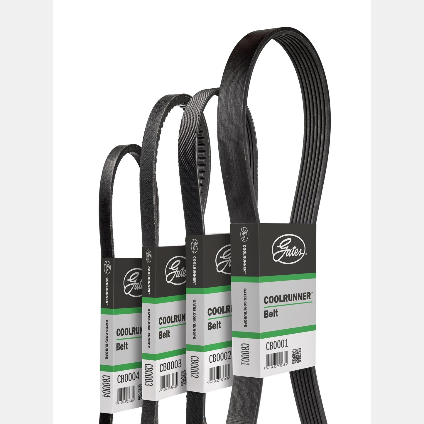 GATES GATCB0060 V-Belt