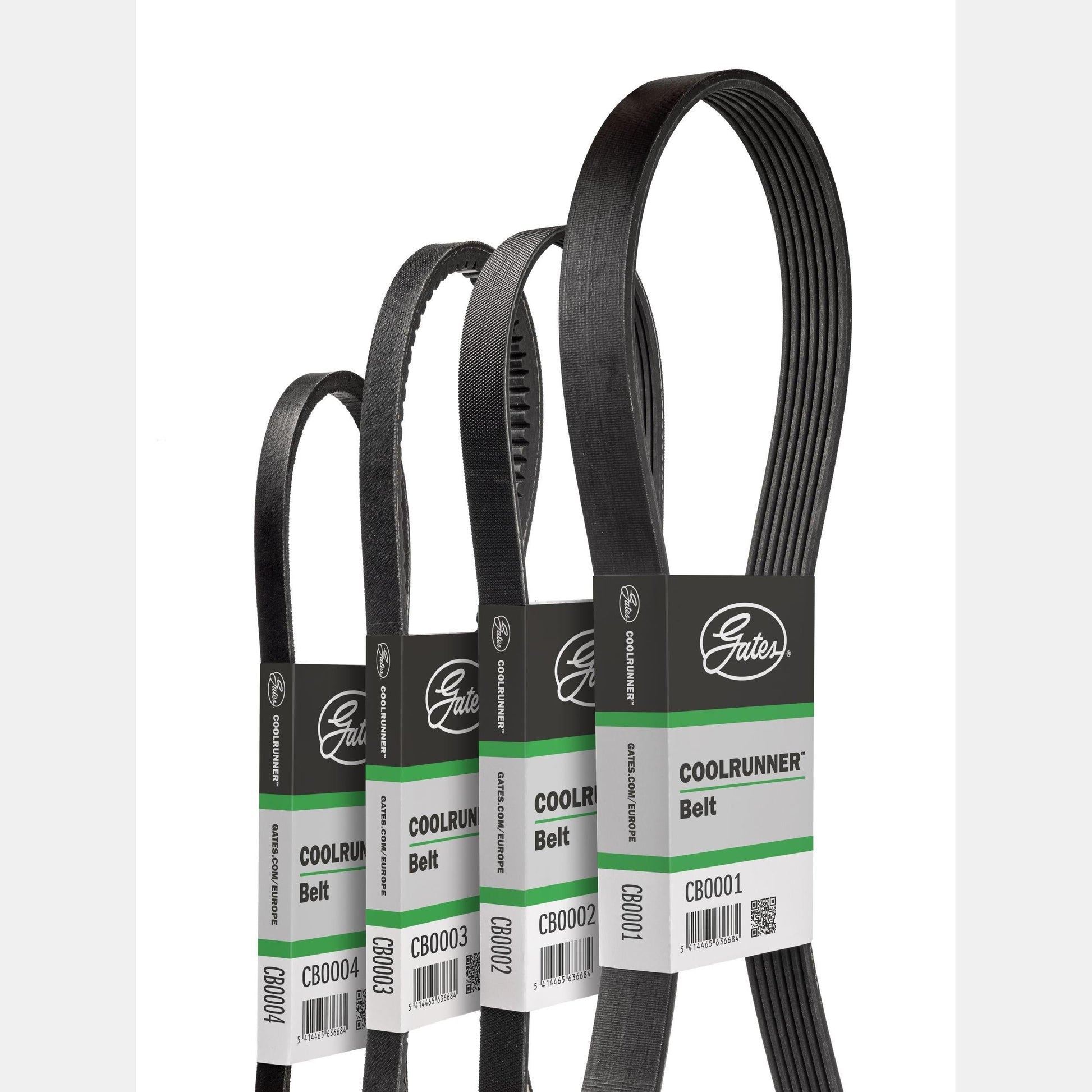 GATES GATCB0060 V-Belt