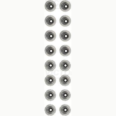 REINZ 12-10017-01 Valve Stem Seal Set