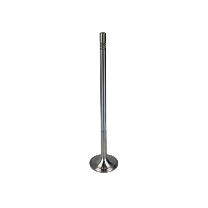 DT SPARE PARTS 2.10575 Intake Valve