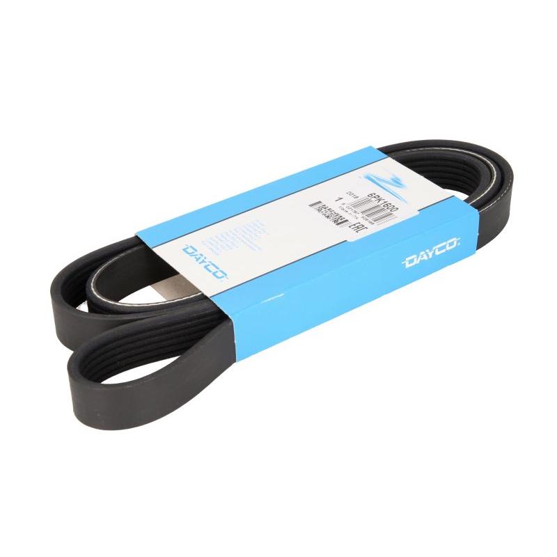 DAYCO DAY6PK1600 V-Ribbed Belt
