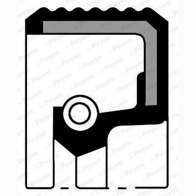 PAYEN NA5327 Crankshaft Shaft Seal