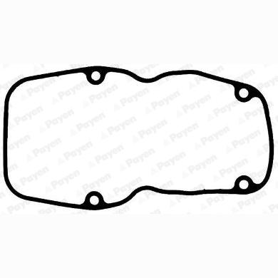 PAYEN JM7110 Cylinder Head Cover Gasket