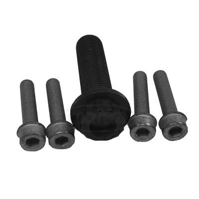 CORTECO CO80001259 Crankshaft Pulley Bolt Set