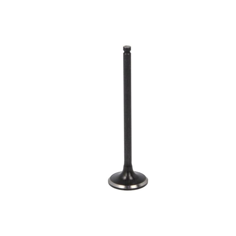 NE 148037000100 Exhaust Valve