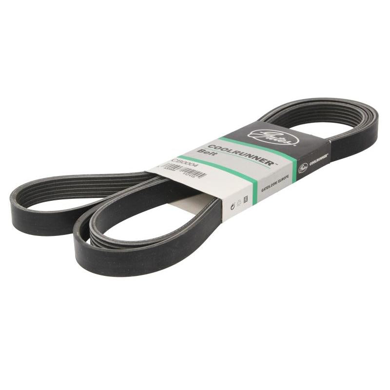 GATES GATCB0004 V-Ribbed Belt