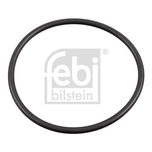 FEBI FE179379 Wheel Bearing Shaft Seal