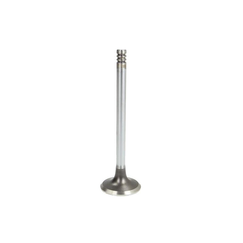 OE GERMANY 040520201201 Exhaust Valve