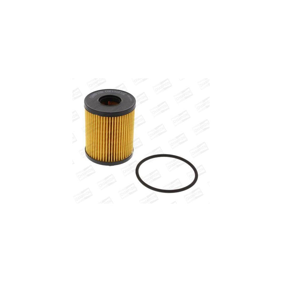 Champion Eon Titan Cof100531E Oil Filter