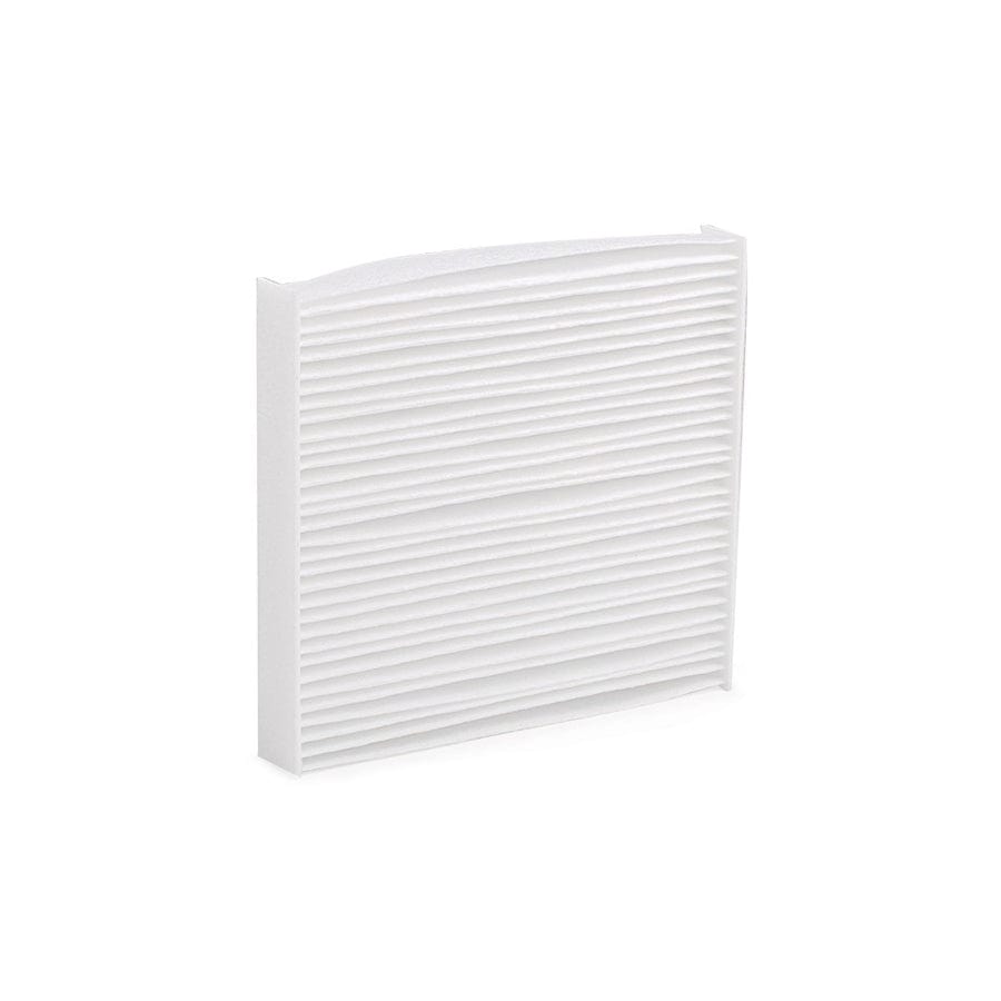 Champion Ccf0051 Pollen Filter