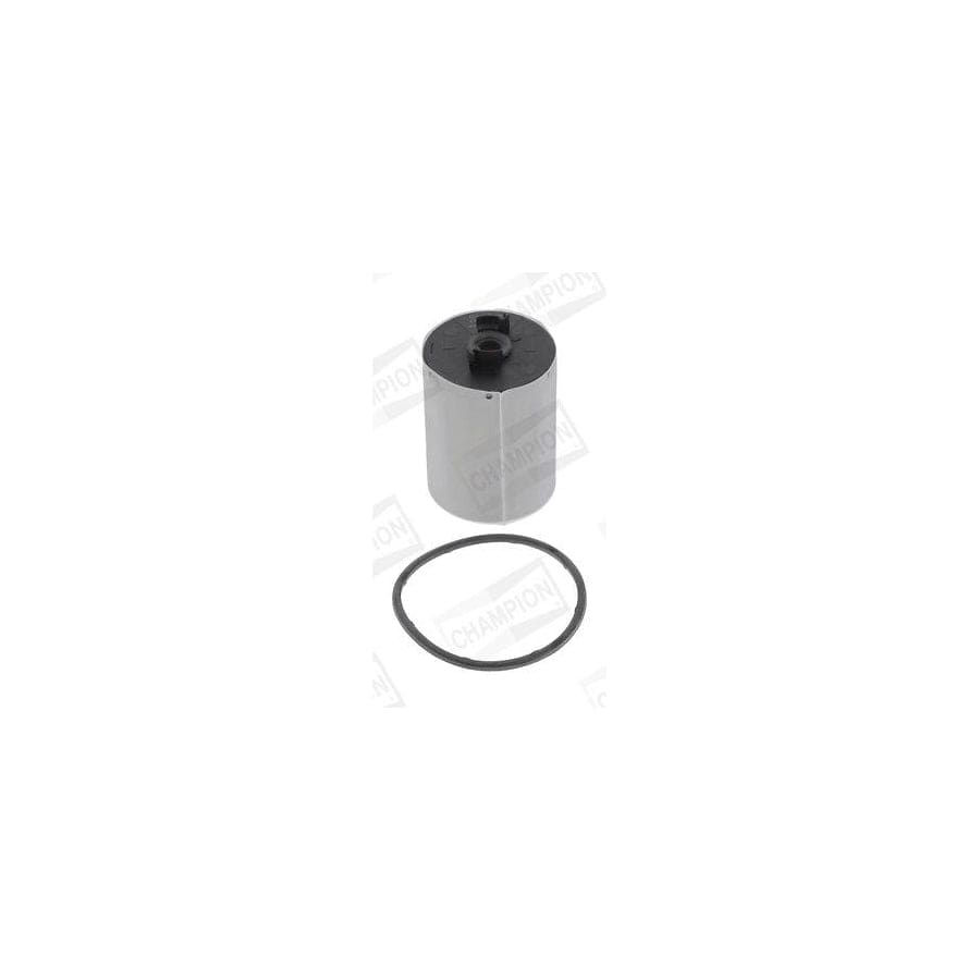 Champion Cff100747 Fuel Filter