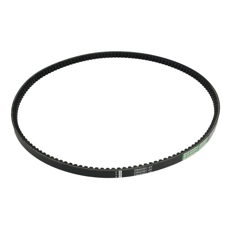 OPTIBELT 1003983AP V-Belt