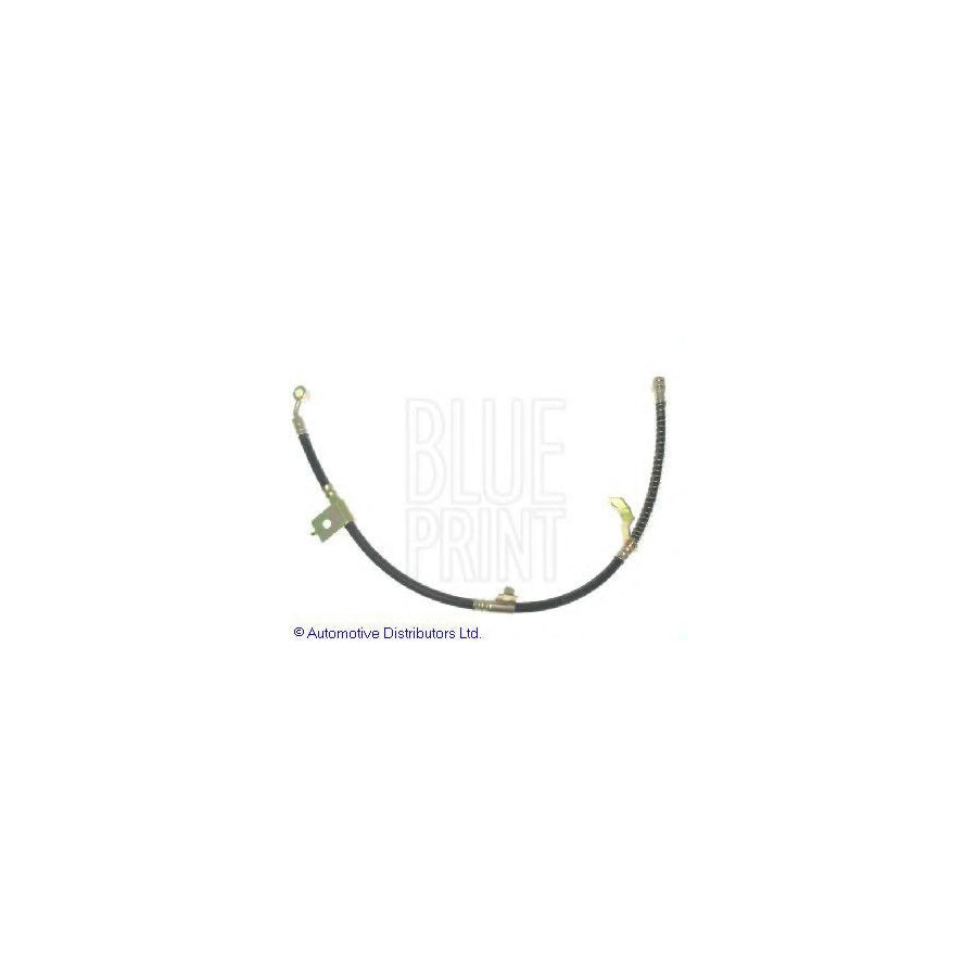 Blue Print Adg05380 Brake Hose